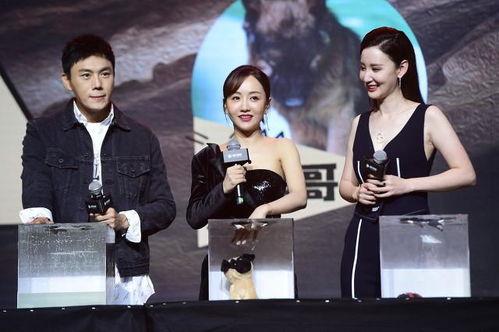 吃瓜娱乐圈新娱文化,吃瓜文化引领的“新娱”风尚