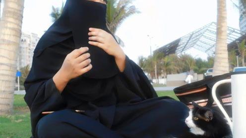 娱乐吃瓜君考生,揭秘娱乐圈幕后故事